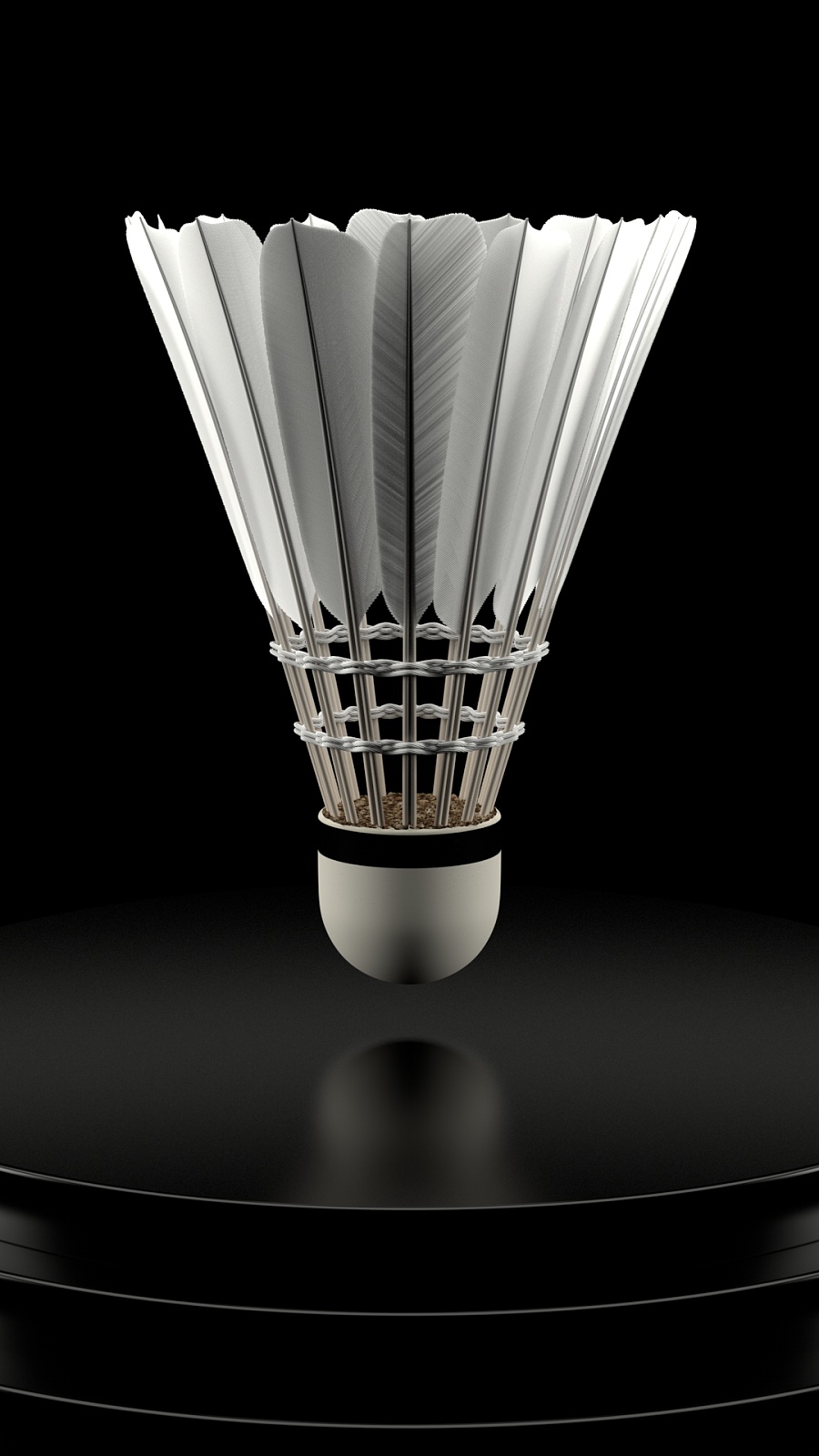 在如此庞大 在如此庞大