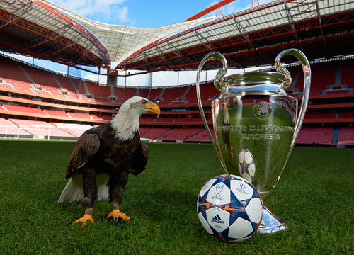 一个清晰观 一个清晰观